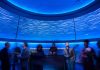 Host an Unforgettable Event at Monterey Bay Aquarium Monterey Bay Aquarium