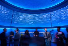 Host an Unforgettable Event at Monterey Bay Aquarium Monterey Bay Aquarium